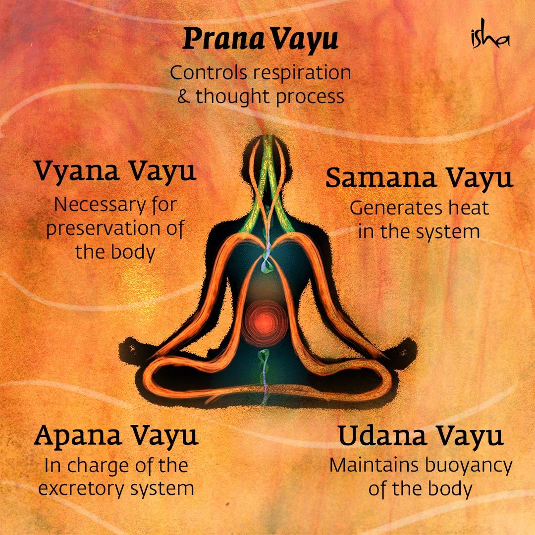 location of five prana vayus in human body