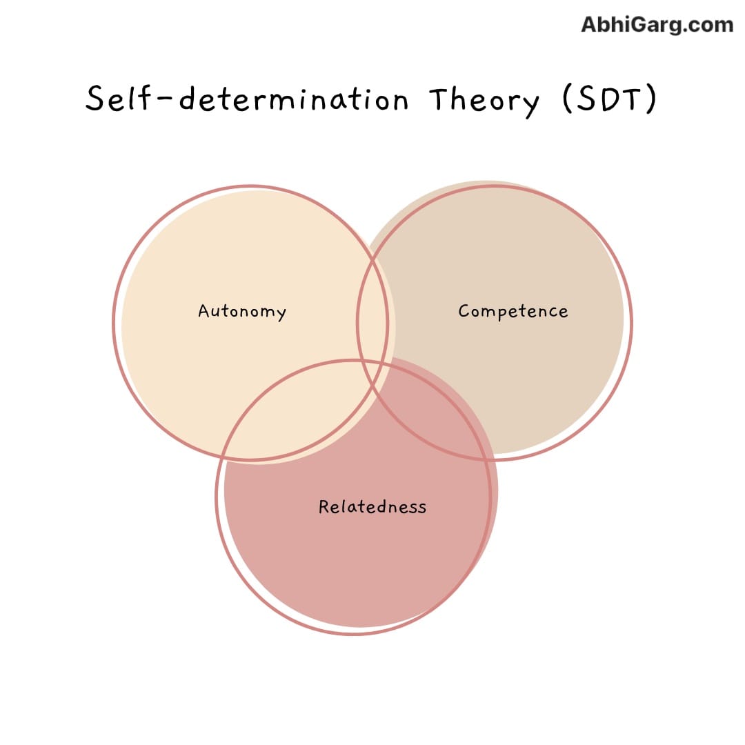 What is Self-determination Theory (SDT)?